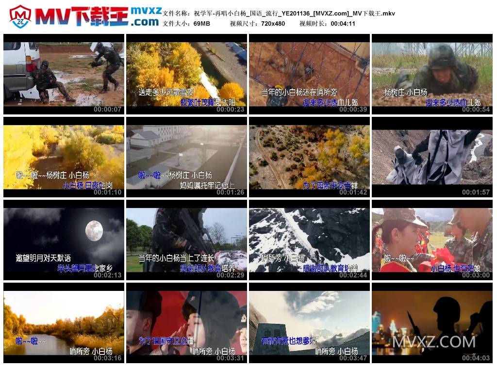 祝学军-再唱小白杨_国语_流行_YE201136